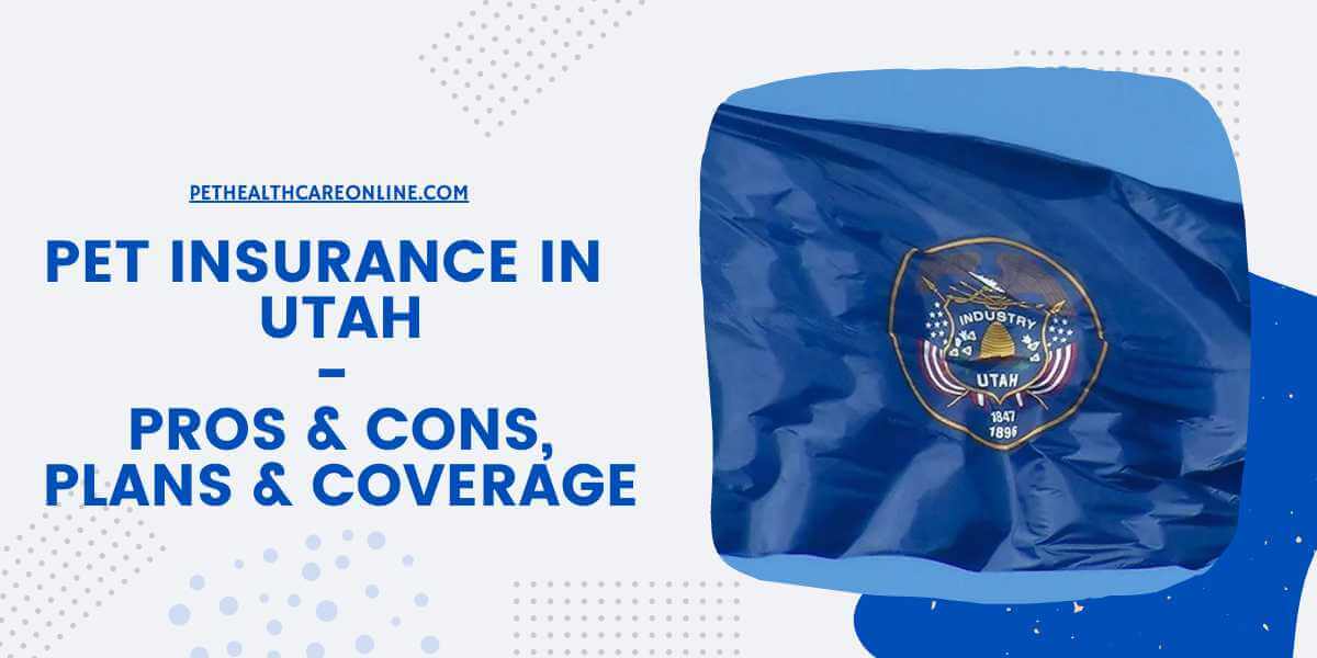 Pet insurance worth