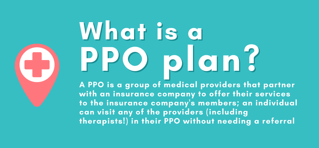 Hmo ppo insurance plans epo health care vs plan medical provider healthcare cost versus organization preferred terms definitions maintenance providers