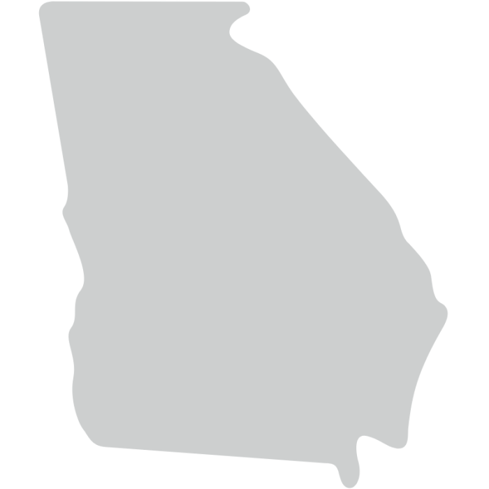 Georgia insurance claim laws